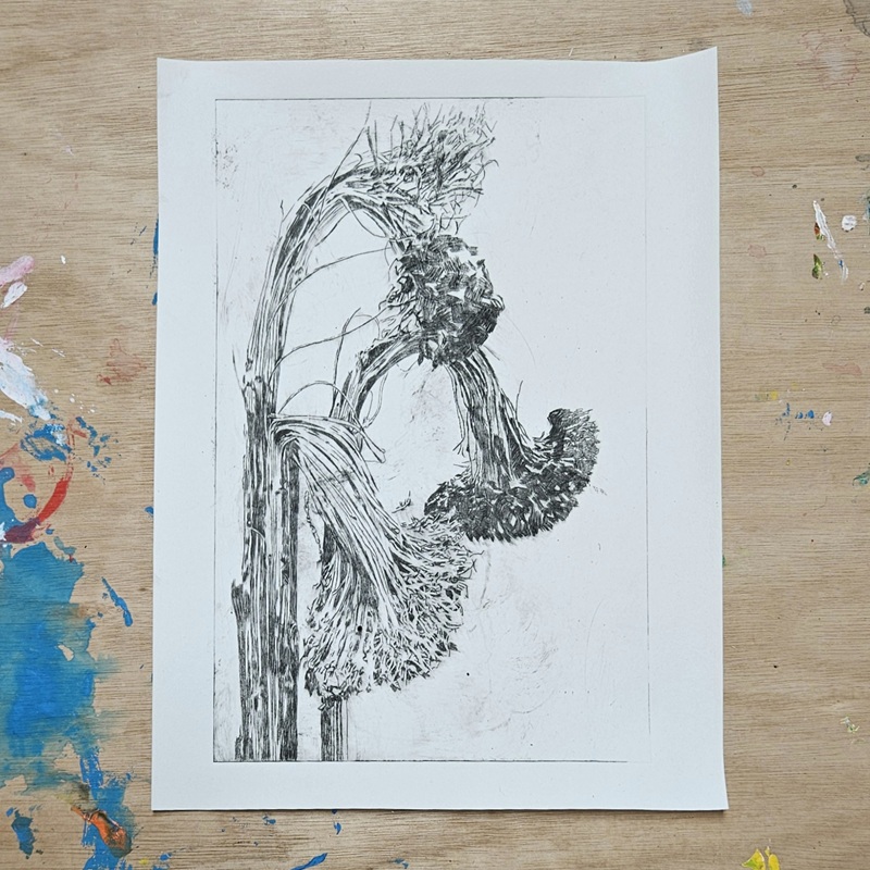 Droge naald ets door Erik Sok